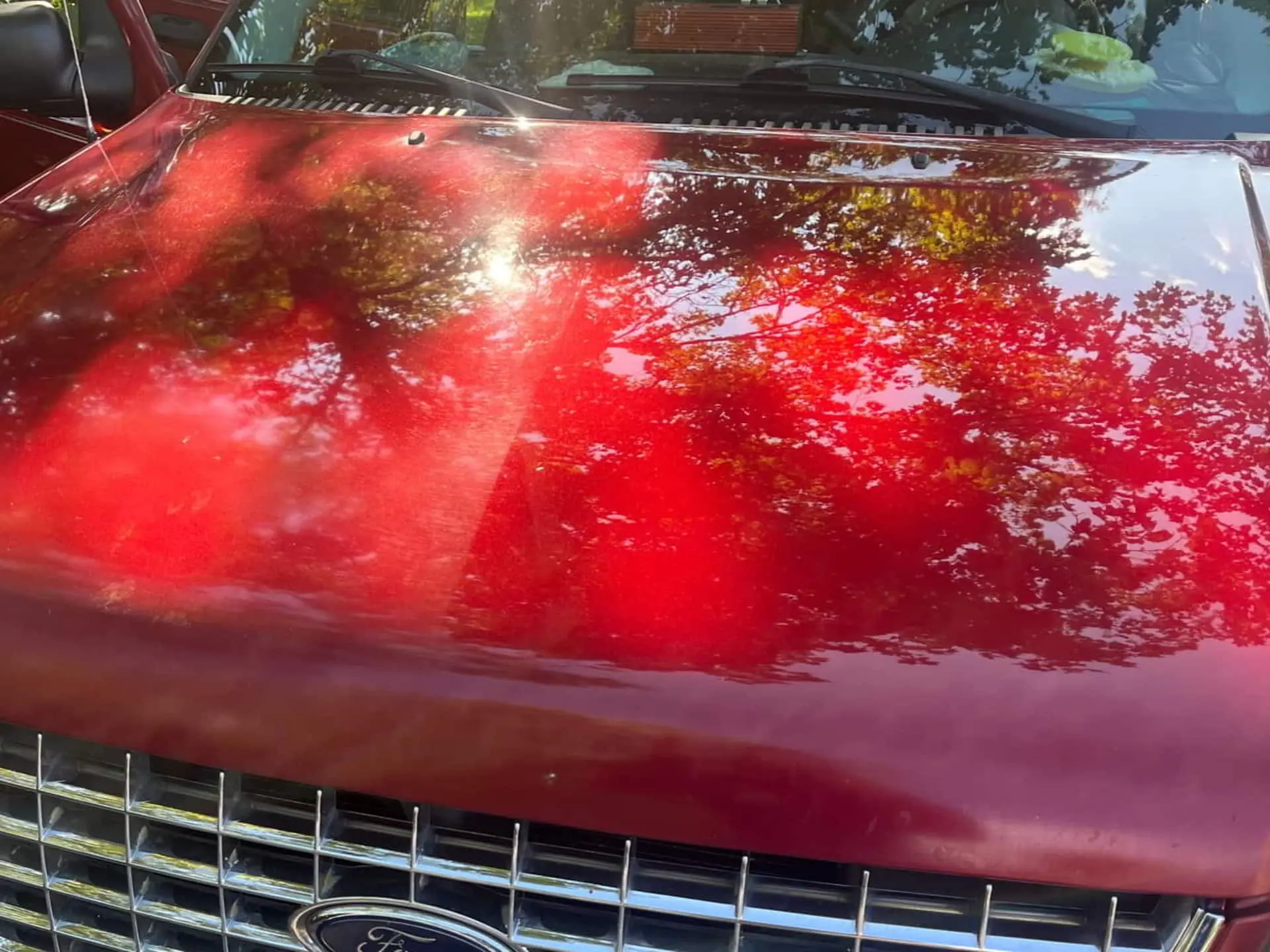 car paint correction head shelbyville mobile detailing shelbyville ky