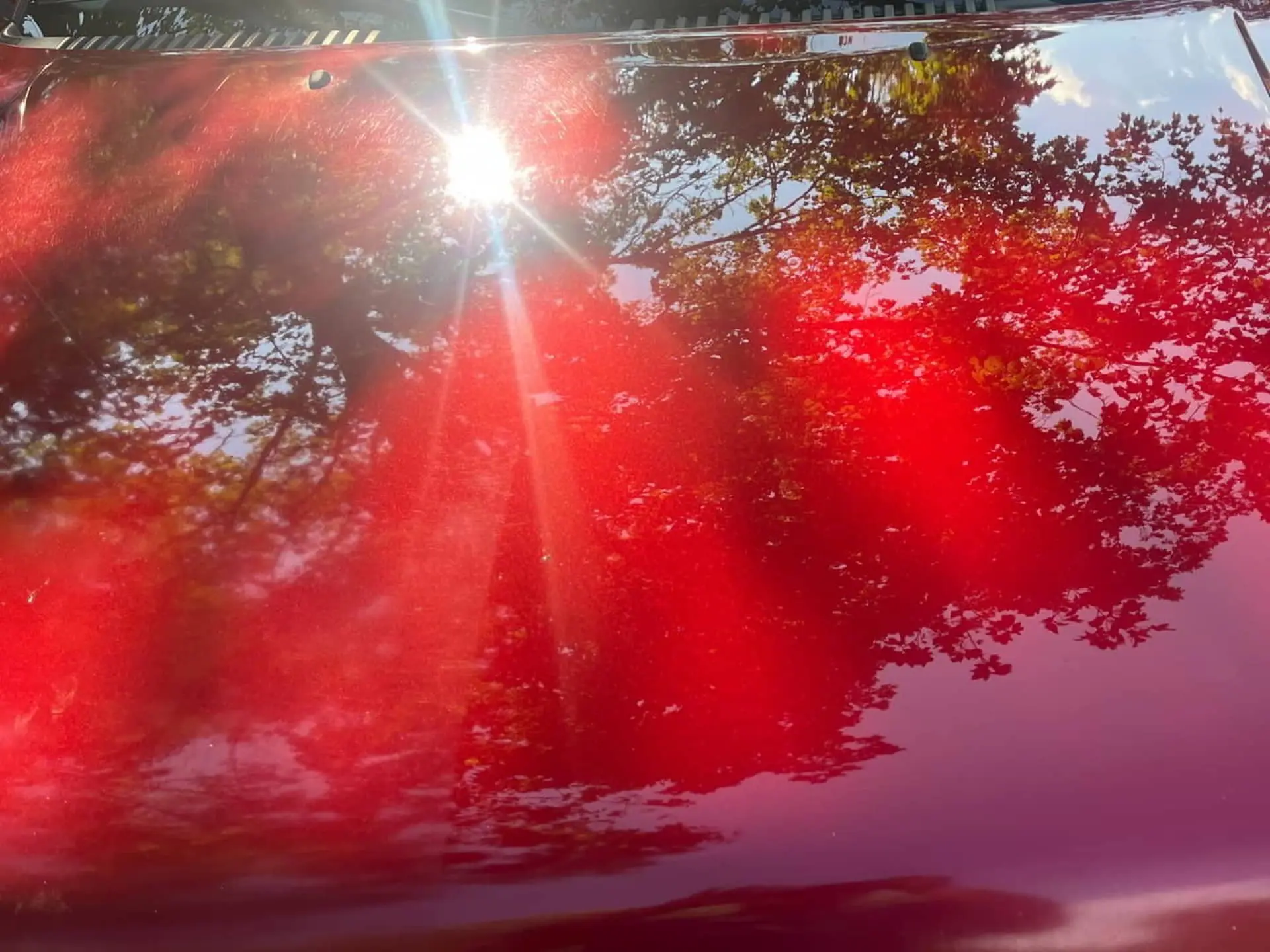 red car hood paint correction shelbyville mobile detailing shelbyville ky